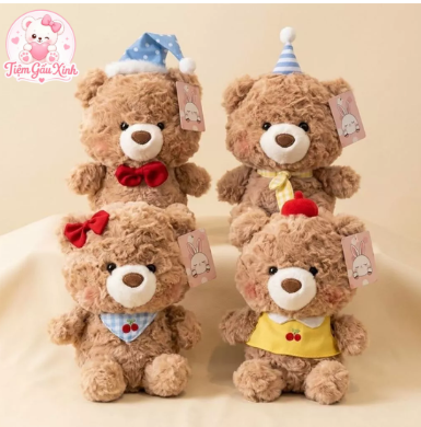 gấu teddy nâu