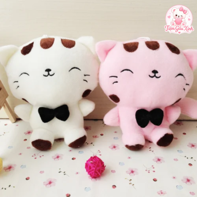 mèo cute
