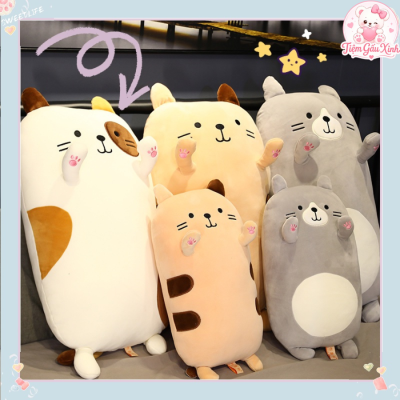 mèo gấu bông cute